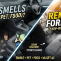 How to Remove Bad Odors From Your Car (Smoke, Pet, Food)