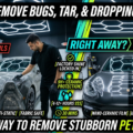 Ceramic Coating for New Cars: Should You Do It Right Away?