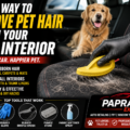 Best Way to Remove Pet Hair From Your Car Interior