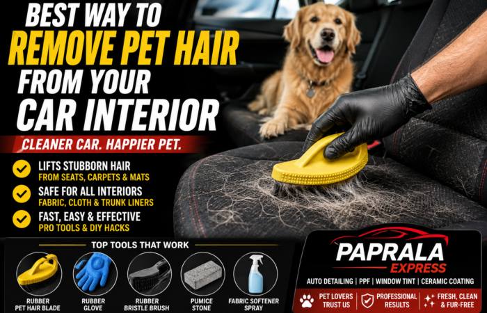 Pet Hair Removal_ Clean Car, Happy Dog