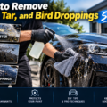 How to Remove Bugs, Tar, and Bird Droppings Safely